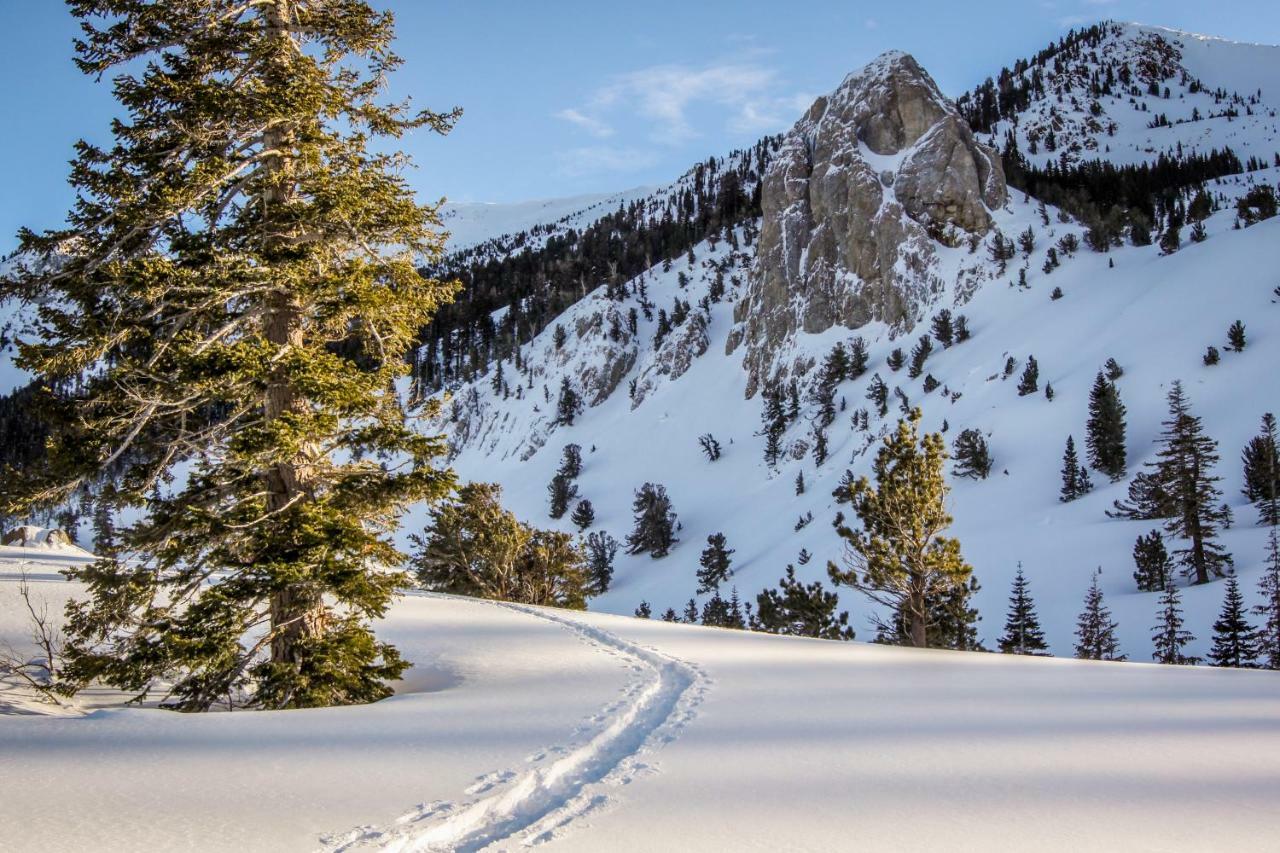 Wildflower 55 Mammoth Lakes Luaran gambar